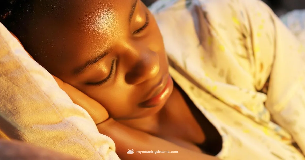 Fever Dream - Meaning of My Dreams