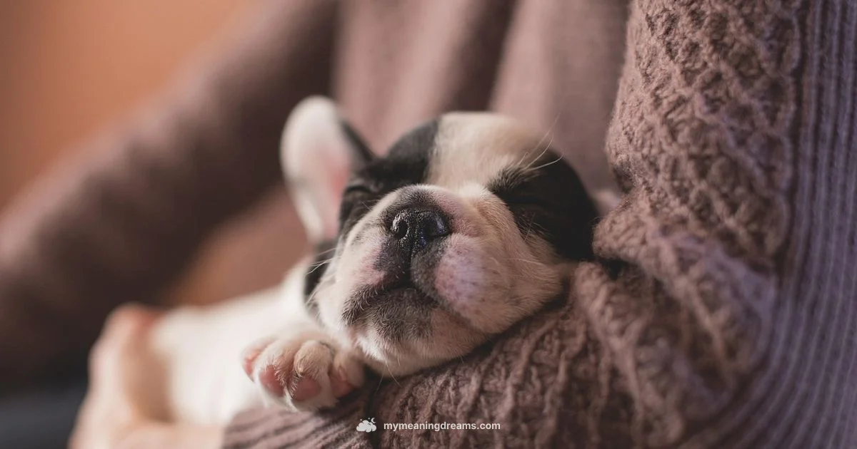 Puppy Dreams Puppy Dreams - Meaning of My Dreams