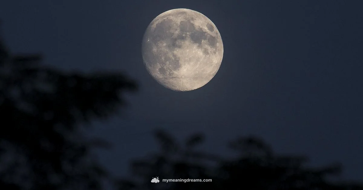 Full Moon Dream Meaning - Meaning of My Dreams