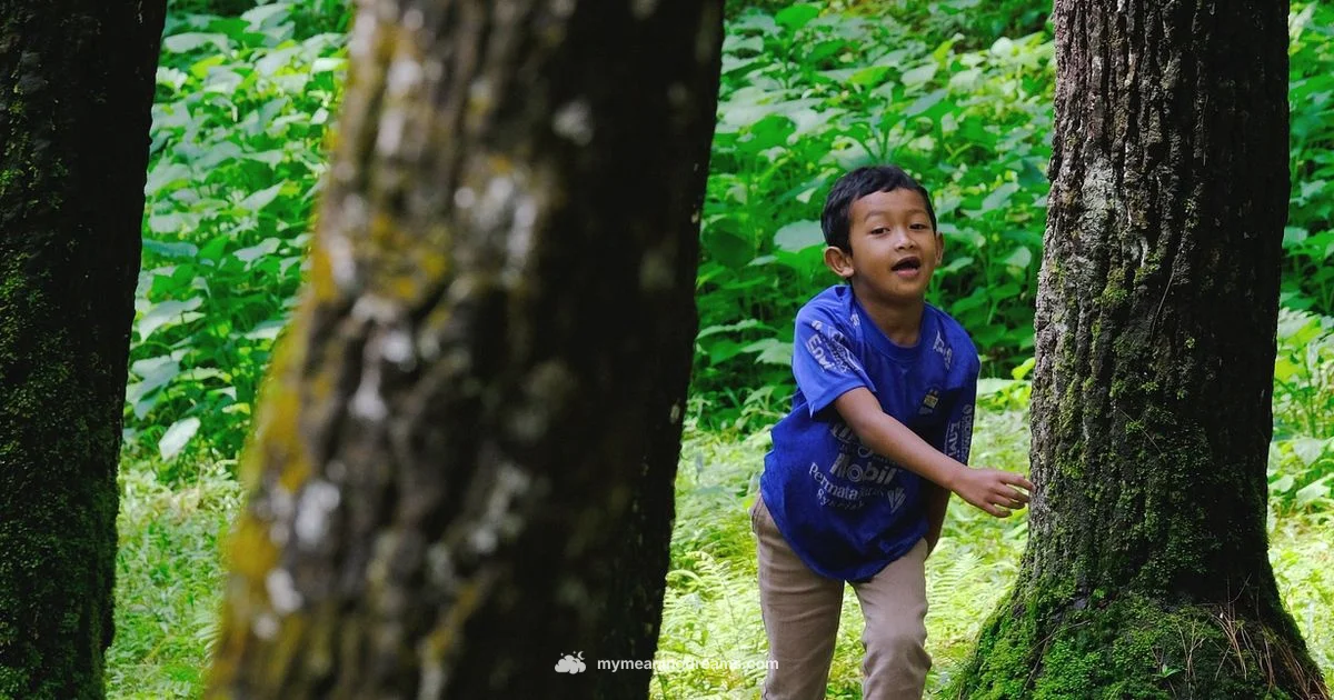 Dream Run Meaning Dream Run Meaning - Meaning of My Dreams