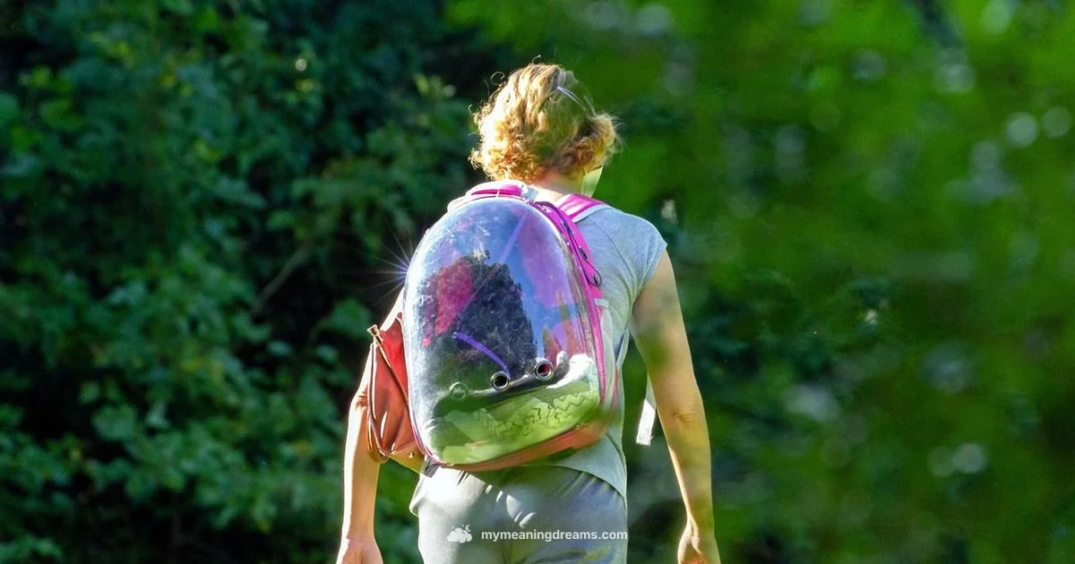 Late to School Dream - Meaning of My Dreams