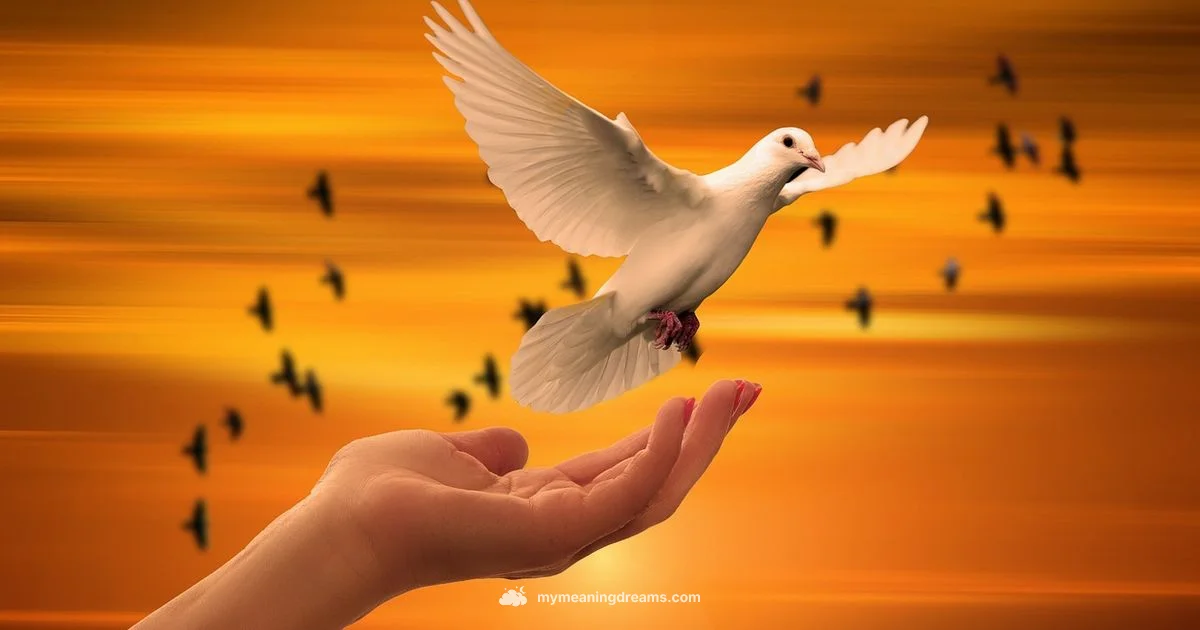 Dreamy Meaning Dreamy Meaning - Meaning of My Dreams