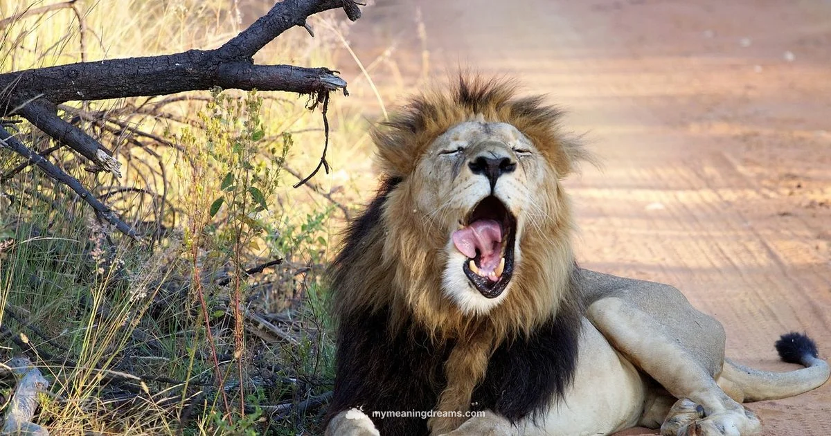 Snake Bite Dream Meaning Snake Bite Dream Meaning - Meaning of My Dreams