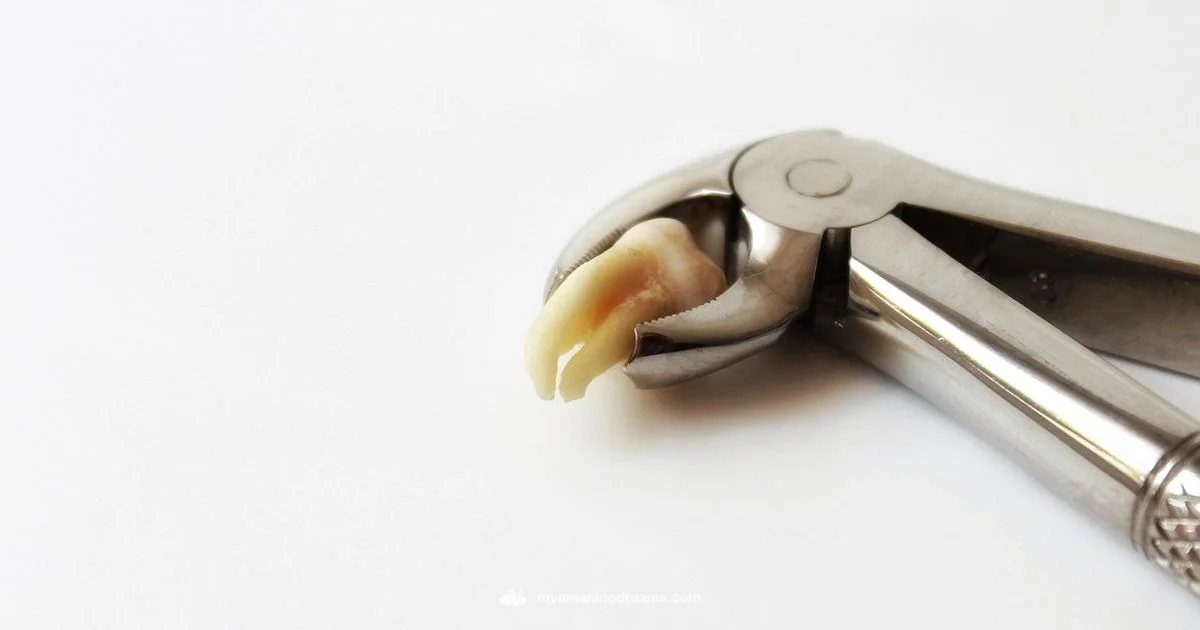 Tooth Dream Meaning - Meaning of My Dreams