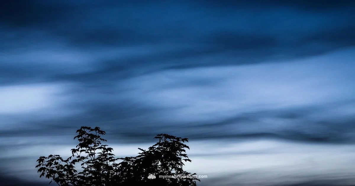 Lucid Dream Meaning Lucid Dream Meaning - Meaning of My Dreams