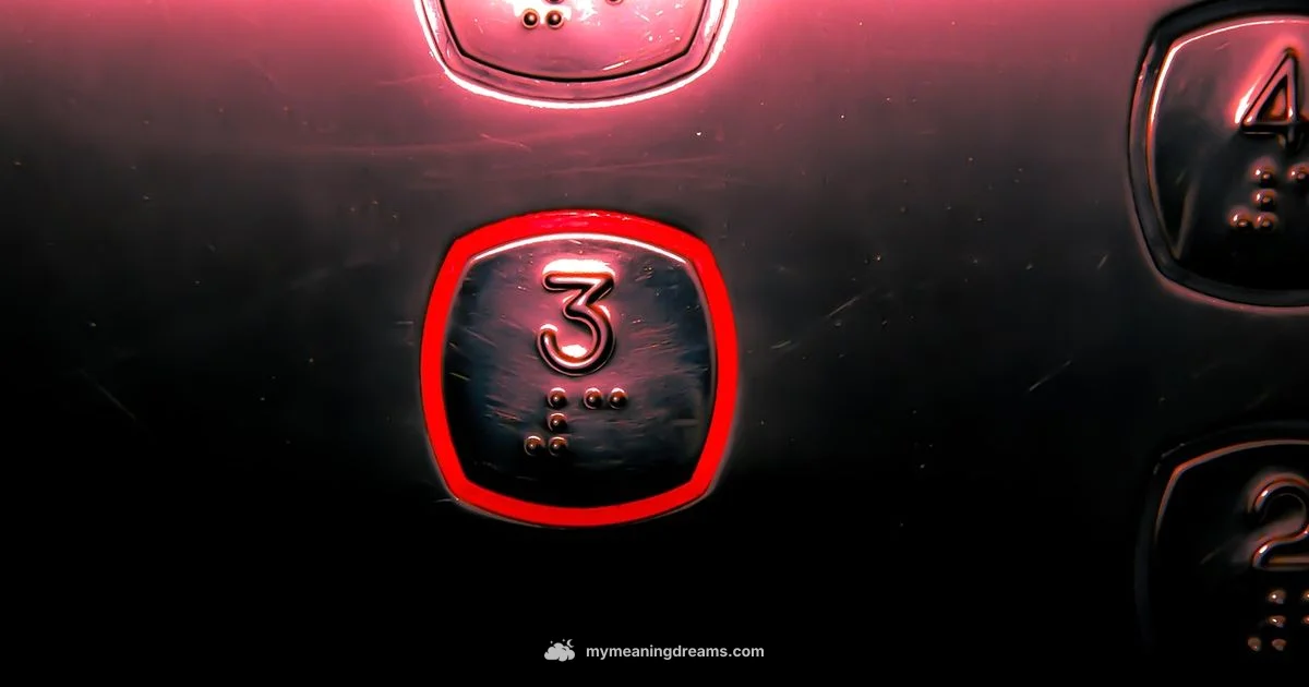 Elevator Dream Meaning - Meaning of My Dreams