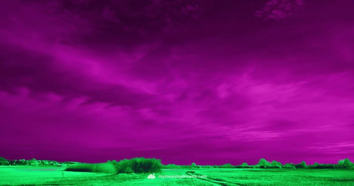 Vivid Dreams Vivid Dreams - Meaning of My Dreams